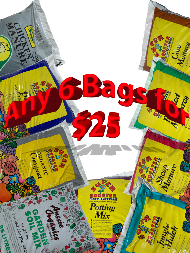 6 Bags for 25 MGS & Hire