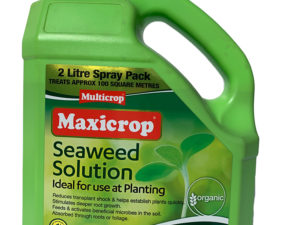 Seaweed Solution RTU