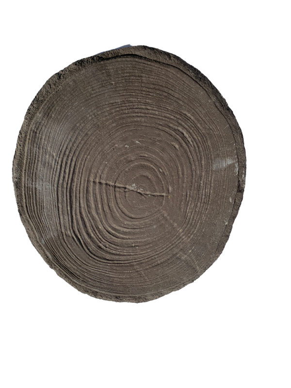 Log Stepping Stone 400 mm Charcoal