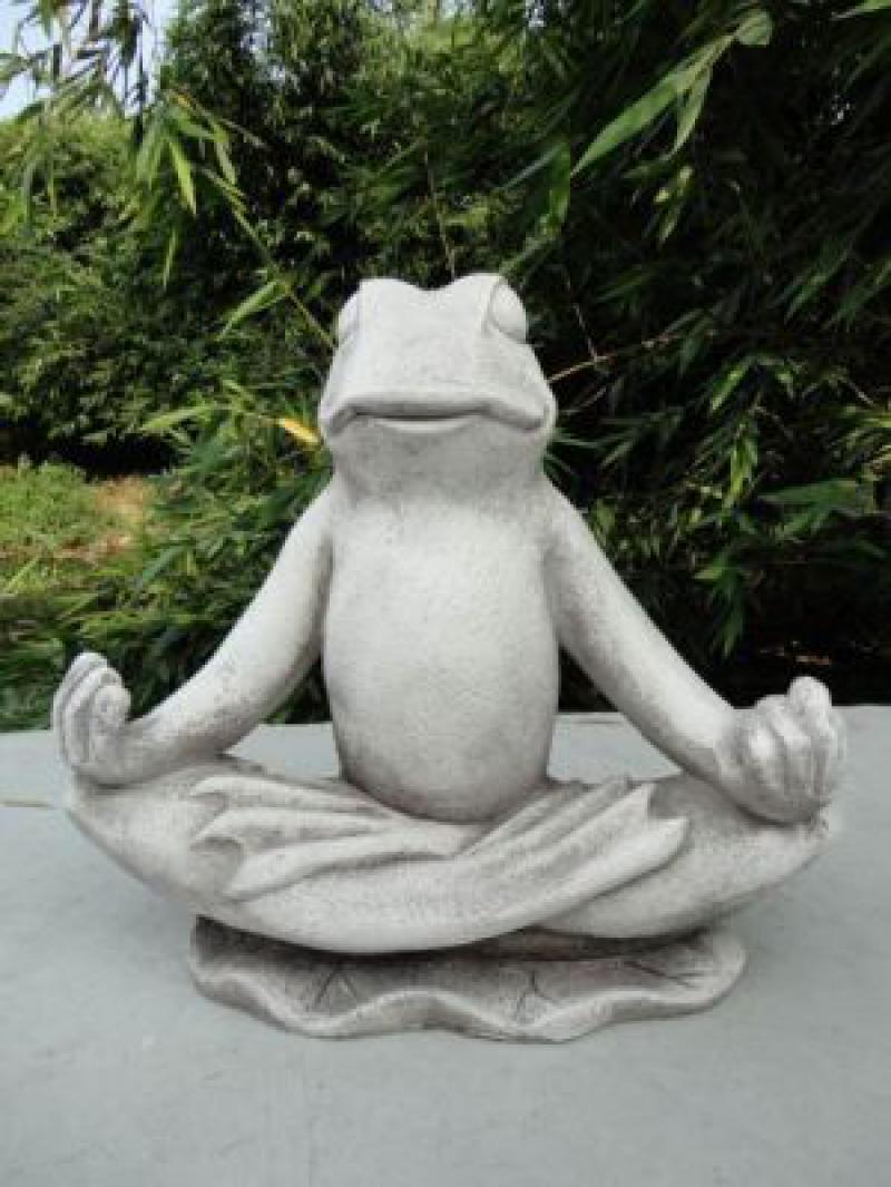 Meditating Frog Mgs Hire