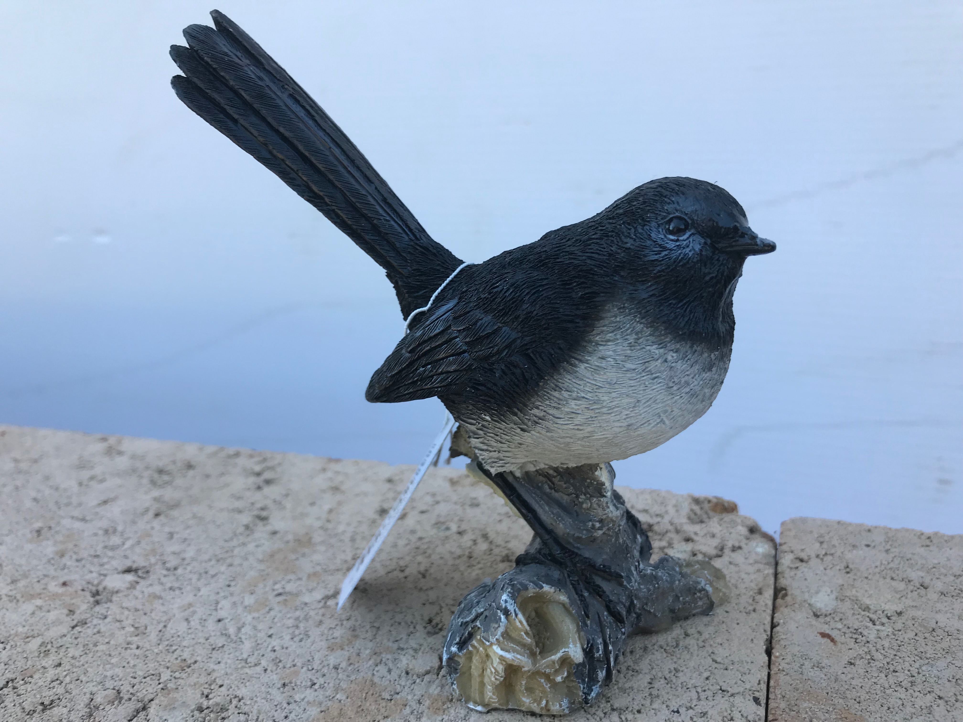Willy Wagtail MGS & Hire