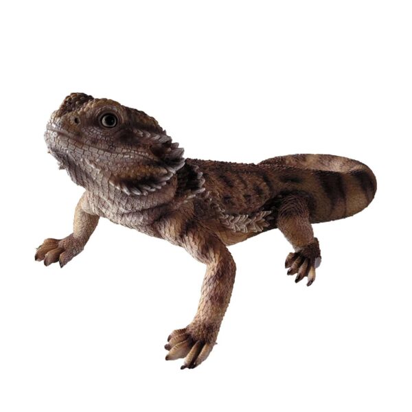 Chameleon/ Bearded Dragon 340x200x155mm