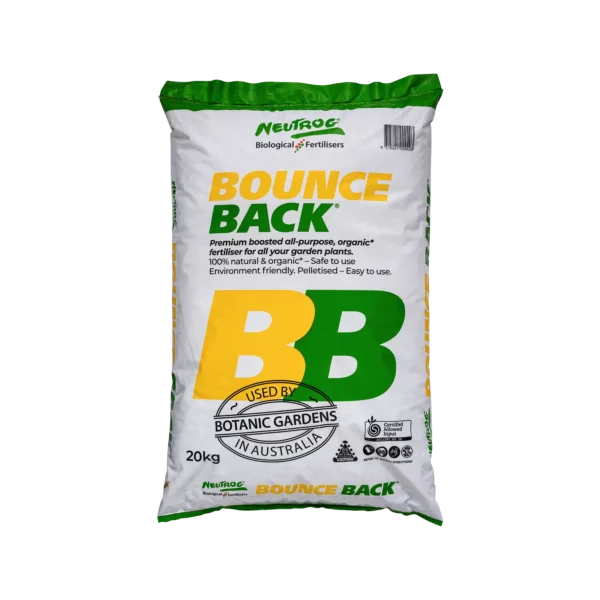 Bounce Back 20kg (Copy)